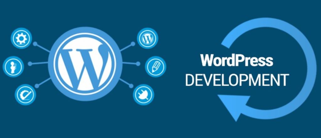 download wordpress developer